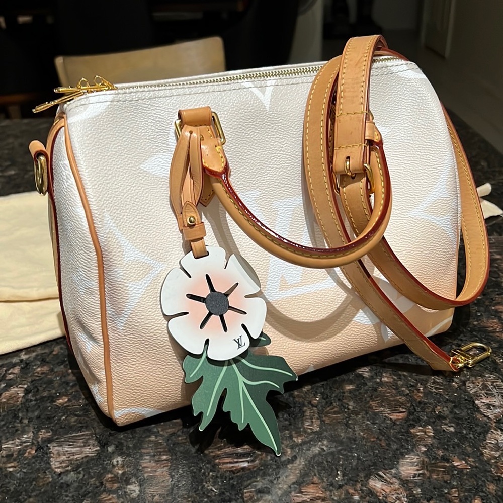 Louis Vuitton Speedy 25